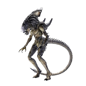 Action Figure Aliens Predalien - Hiya Toys