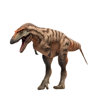 Figure Gorgosaurus Tristan the Gorgosaurus 071 - Original PNSO