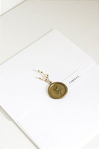 Envelope para convite com nome dos convidados | Convite de casamento