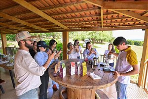 Tour do Café Alado + Quitanda Mineira