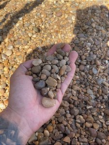 Seixo Marrom para Jardim e Paisagismo