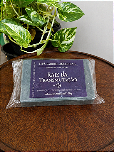 Raiz da Transmutação