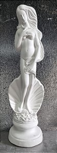 Deusa Venus / Afrodite 30cm Gesso Cru