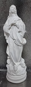 Nossa Senhora da Conceição 20cm Gesso Cru