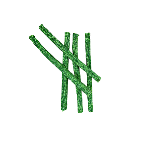Petisco Palito Menta Pacote C/5 Un