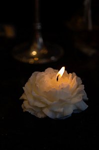 Peônia Branca (Baunilha)