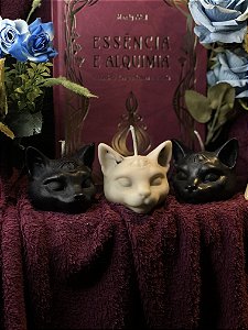 Kit Gato Místico (três vidas)