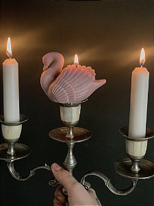 Kit Ternura Selvagem