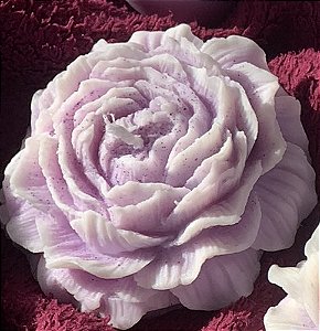 Peônia Lilás (Lavanda Francesa)