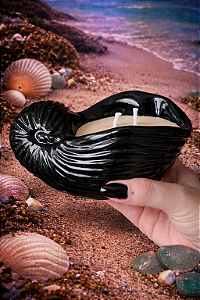 Concha dos Sonhos (Preta)