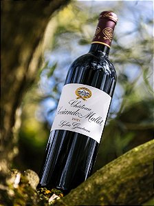 Chateau Sociando Mallet - Chateau Sociando Mallet Aop Haut Medoc - Rouge - 2021 - 0,75