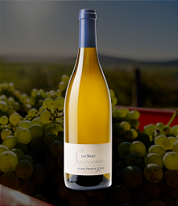 Pierre Prieur - Sancerre Les Silex - Blanc - 2023