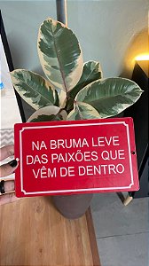placa NA BRUMA LEVE
