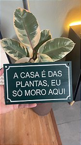 placa A CASA É DAS PLANTAS