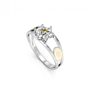 Anel Formatura feminino Aro Duplo - Prata 925