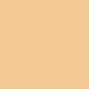 Fundo de Papel Beige Silk Y 26 2,70 x 10m Greika