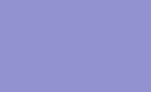 Fundo Papel Violet 133 - 2,72 x 11m - Made USA