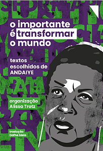 O Importante é Transformar o Mundo: Textos Escolhidos de Andaiye