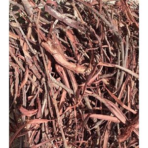 Jurema Preta Entrecasca da Raiz