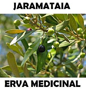 Jaramataia 500g
