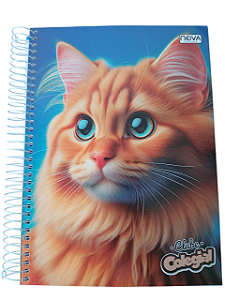Caderno Universitário Capa Dura Espiral Gato Azul