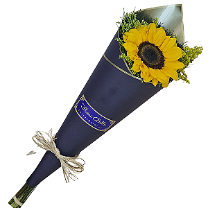 Black de Girassol Solitário