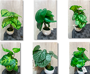 Vaso com Folhagem Artificial – Ref. 1382-35 Mini planta em vaso branco com folhas verdes variadas. Ideal para mesas e pr