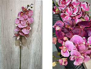 Haste Artificial de Orquídea Phalaenopsis Rosa com Detalhes Roxos