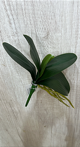 Folha Artificial de Orquídea Verde com Raízes Decorativas