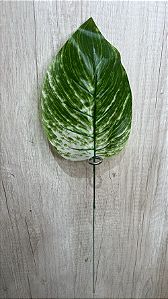 Folha Artificial de Comigo-Ninguém-Pode Verde Mesclada