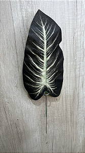 Folha Artificial de Alocasia Preta com Nervuras Claras