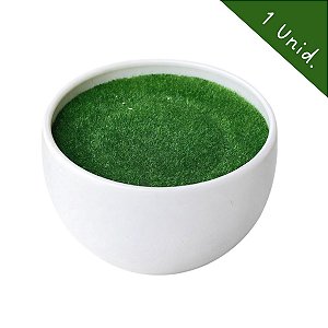 60004 vazinho de plastico com isopor redondo