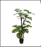 1656三杆中号龟背 29叶