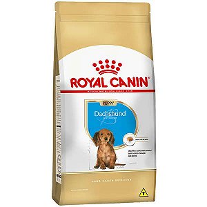 Ração Seca Royal Canin Puppy Dachshund para Cães Filhotes 2,5 Kg