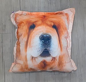 Cão Chow-Chow Almofada Decorativa