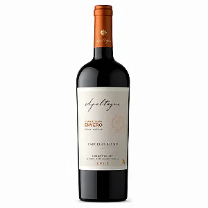 Vinho Tinto Apaltagua Gran Reserva Envero Parcelas Blend 750ml