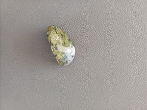 Jade Nefrita P