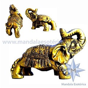 Elefante Dourado
