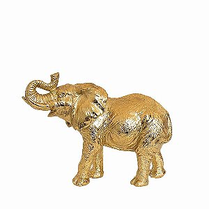 Elefante Dourado - Médio