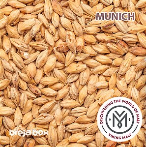 Malte Munich Viking Malt | 14-20 EBC