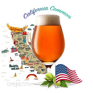 California Common kit receita - Breja Box