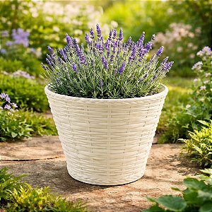 Cachepô Cesta Vime Plástico Colibri 3,98 Litros 23 cm Marfim