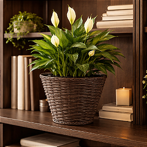 Cachepô Cesta Vime Plástico Colibri 3,98 Litros 23 cm Tabaco