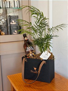 Box Cerveja