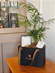 Box Vitco