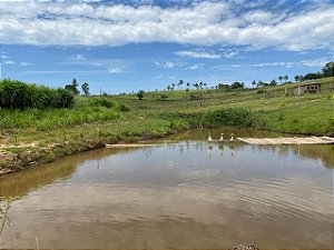 Sitio de 2 hectares Estr. Mato Fino Pda. 105 RS020
