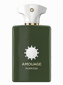 Perfume Amouage Purpose 100ml