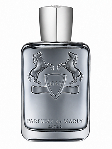 Perfume Parfums de Marly Castley 125ml