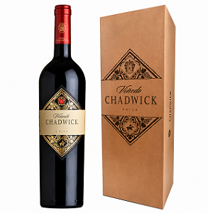 Viñedo Chadwick 2013