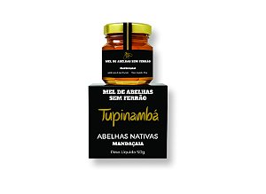 Mel de Abelhas sem Ferrão | Mandaçaia - 50g